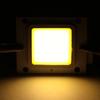 White/ Warm white 10W 20W 30W 50W 70W 100W Light Source LED COB Chip with Power Supply Driver