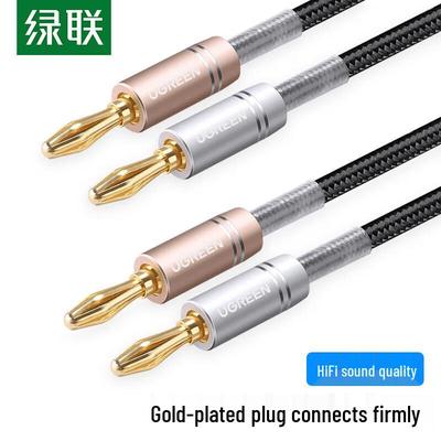 Ugreen Pro Hi-Fi Dual Channel Banana Plug Speaker Cable