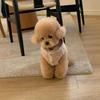 Fashion Pet Two-Legged Coat with Hat Warm Cotton Vest for Small Medium Dogs Winter Chihuahua Costume Puppy Clothing