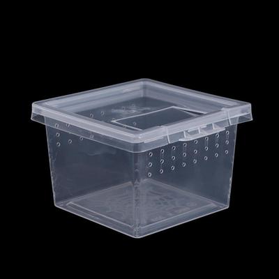 1 ks Plastové Domácí Terarijní Příslušenství Průhledný Obývací Box pro Ještěrky Terarijní Habitat Krmící Box pro Hmyz Líhně