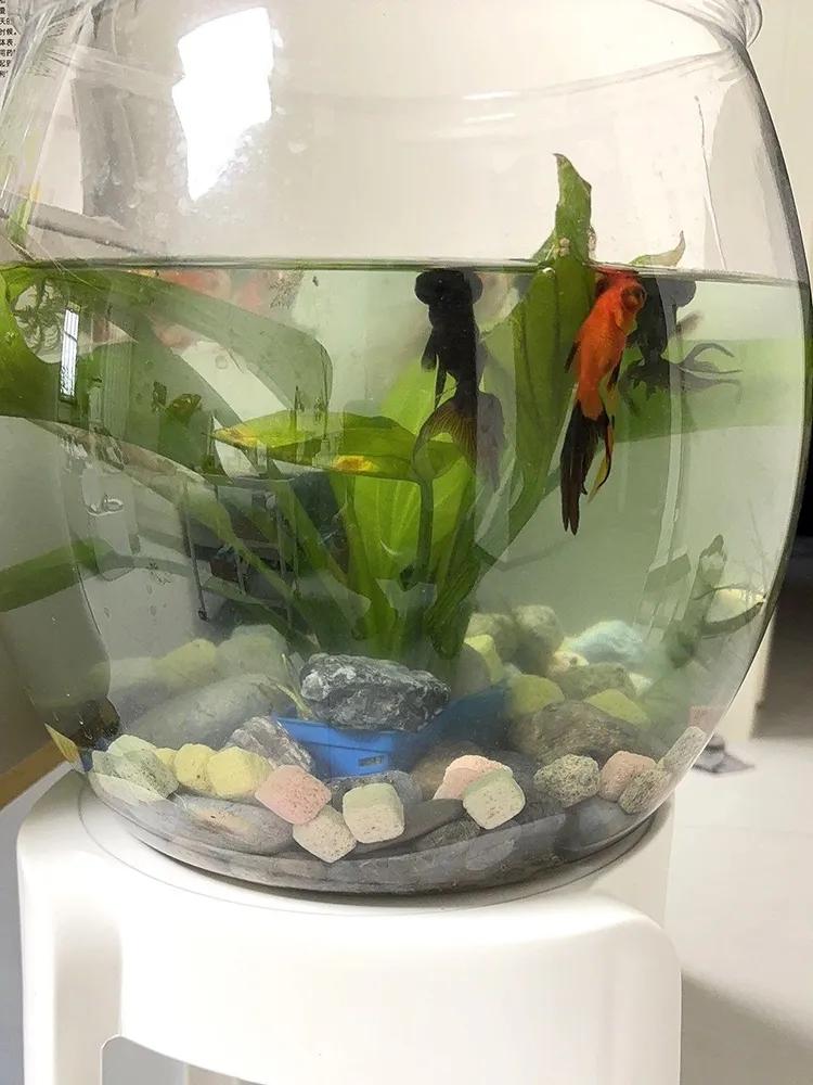 House for bacteria, filter stone for aquarium