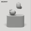 Sony WF-1000XM6 True Wireless Noise-Cancelling Earbuds