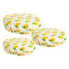 Bowl Covers Pineapple Set