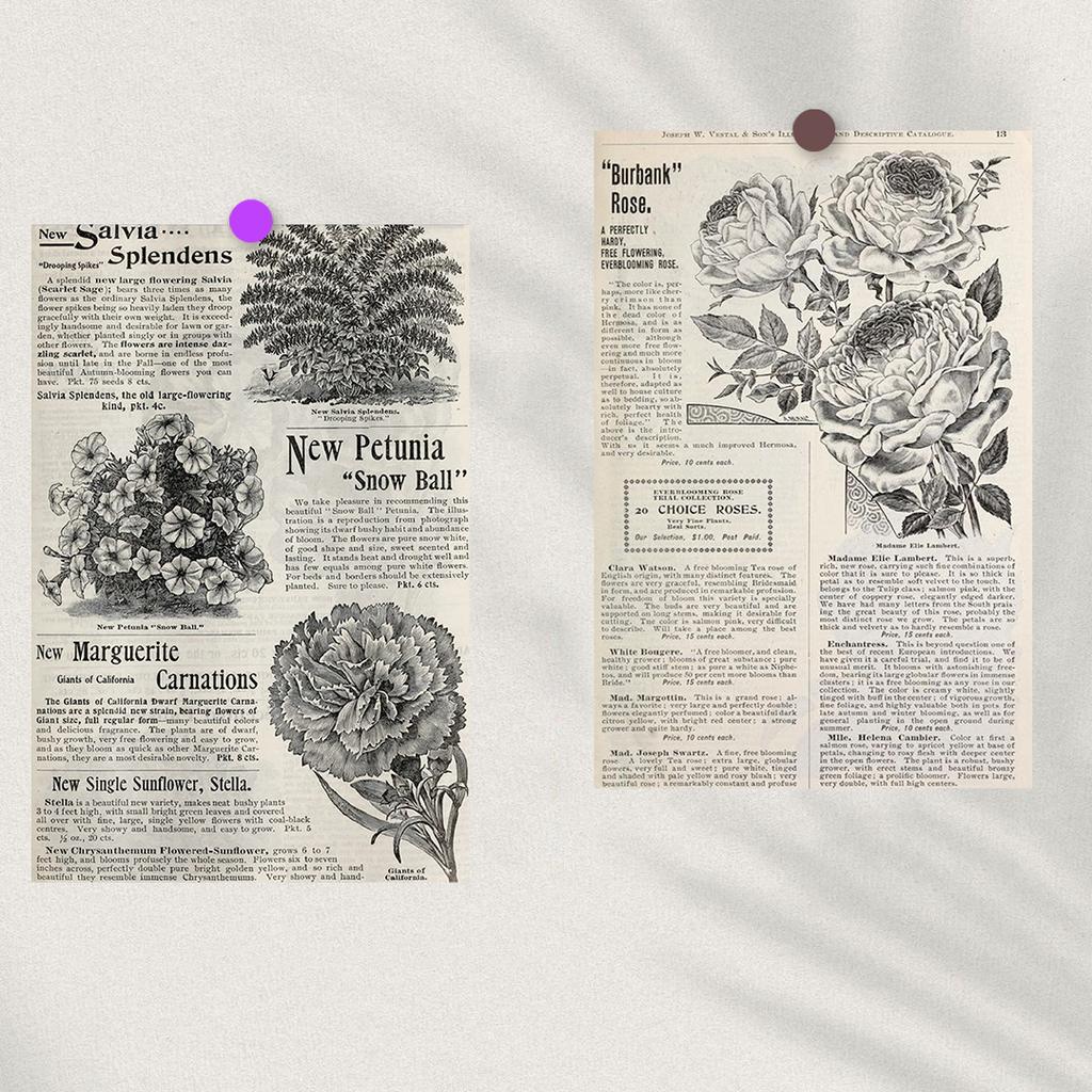 10PCS Retro English Flowers Sticker Poster Nostalgia Wall Coffee Laptop Gift Room Luggage Skateboard For Wall Decal