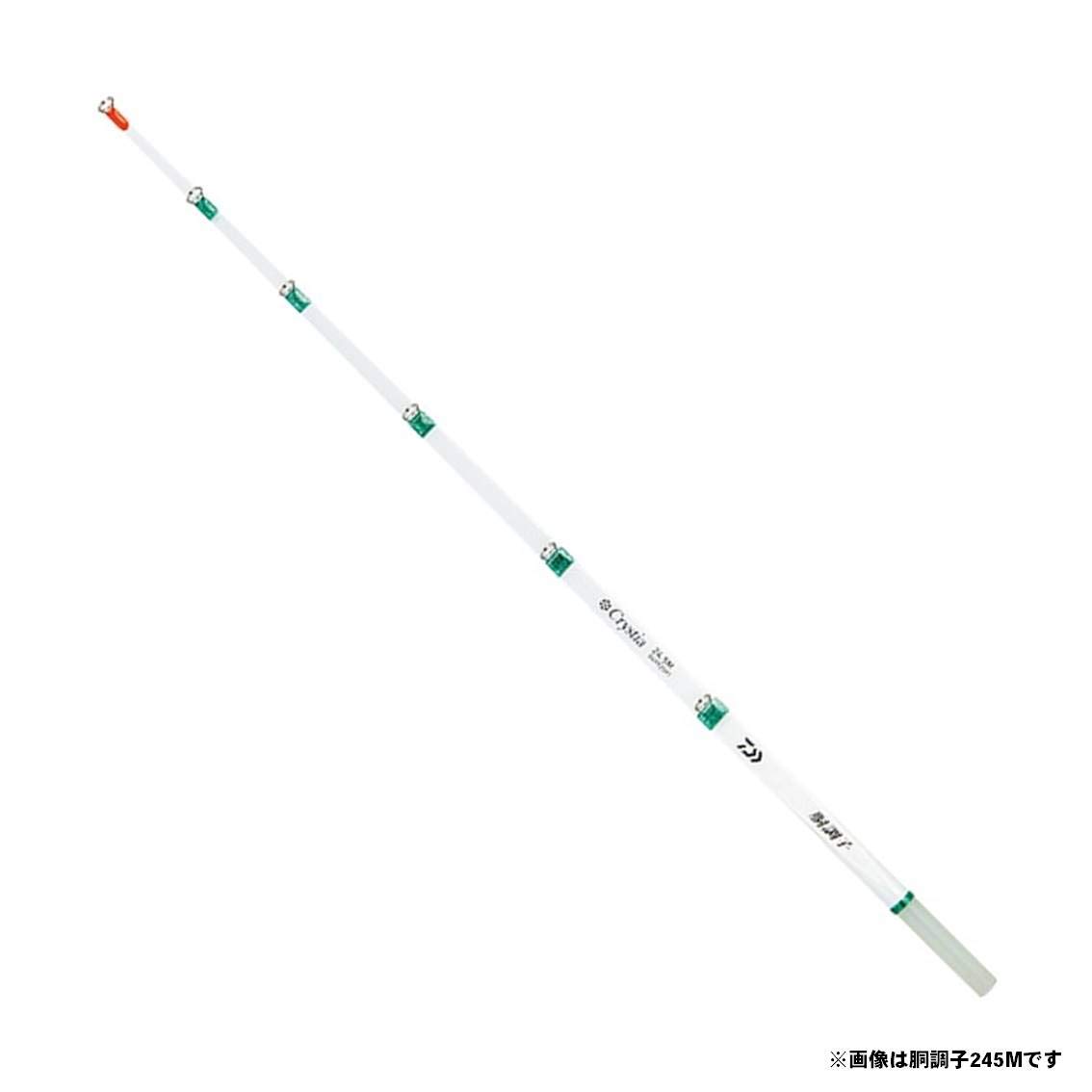 

Daiwa Christia Smelt Tip Body Condition 24.5M
