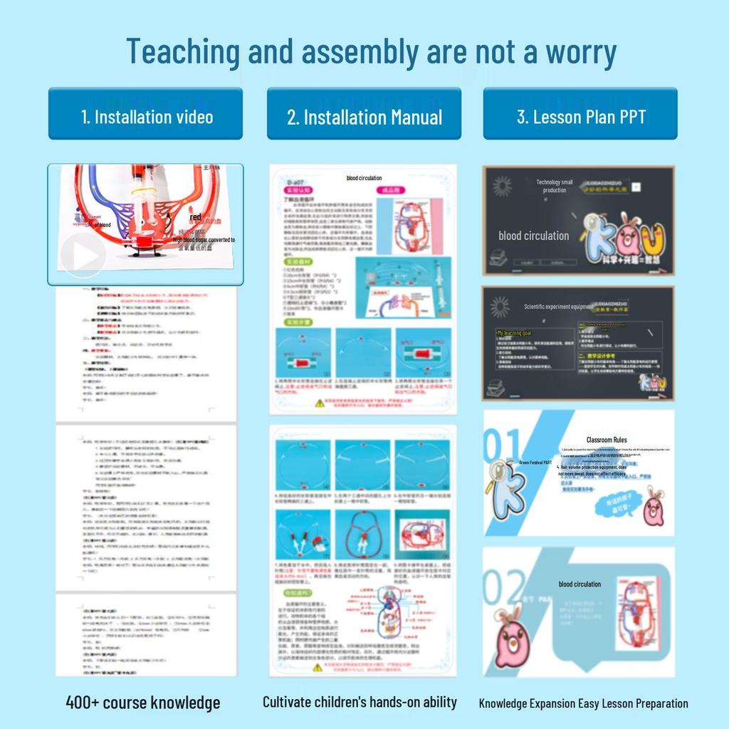 DIY Human Circulation Model for Kids - Science Experiment Kit
