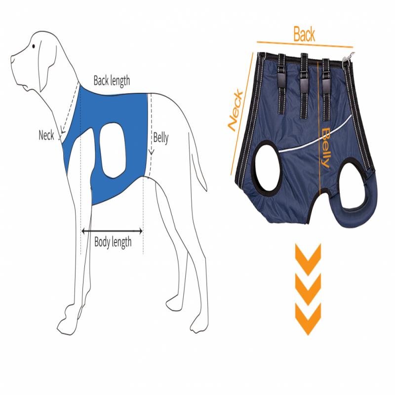 Dog Support Harness Dog Assisted Belt for Front and Rear Legs Pet Recovery Vest Elastic Adjustable Walking Dog Chest Strap