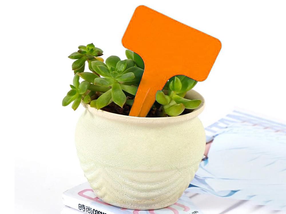 Plant Labels 50 Pcs (200)/125 Gab_A