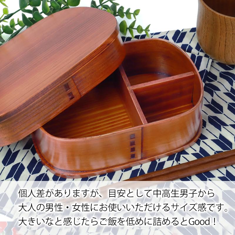 Bento Magewappa Simple Fabriqué en Bois Naturel Moderne Japonais Convient pour et Parfait pour les Journées Sportives et Boîte Style Yamato, Laquée, 800ml, Couche, Bois,