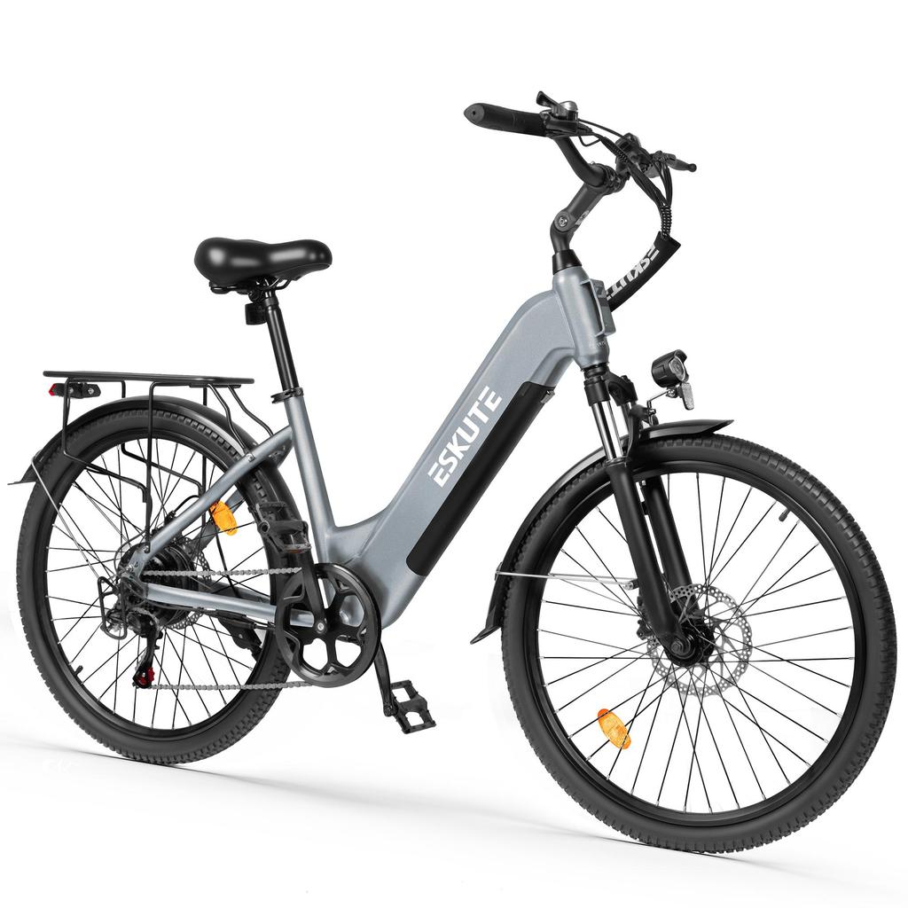 ESKUTE C202 Elektrisches Citybike, 250W Motor, 48V 17.5Ah Abnehmbarer Akku