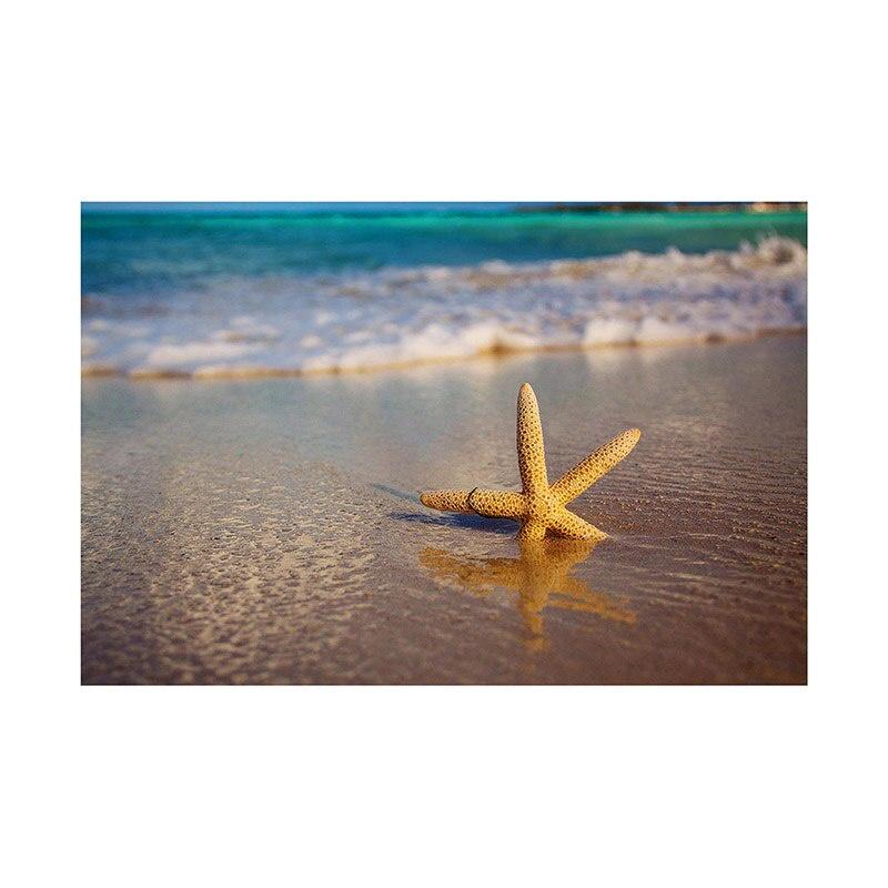 Summer Beach Photography Backdrop Seaside Beach Sand Starfish Shell Baby Birthday Holiday Party Background Photo Studio