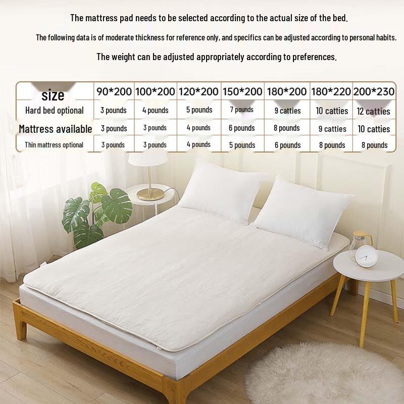 BoNaiSheng FNS Winter Cotton Quilt Core