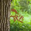 Metal Contour Chipmunk Silhouette Garden Stake Make Your Outdoor Spaces Come Alive with This Adorable Metal Chipmunk Silhouette