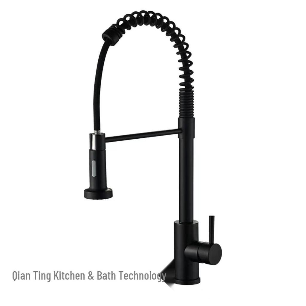 Black Rotatable Dual-Speed Kitchen Faucet with Spring Design for Hot and Cold Water