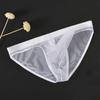 Large Size Mens Underwear Sexy Elephant Nose Briefs Ultra Thin Mesh Bikini Knickers Seamless Elastic Lingerie Panty Comfortable Fit