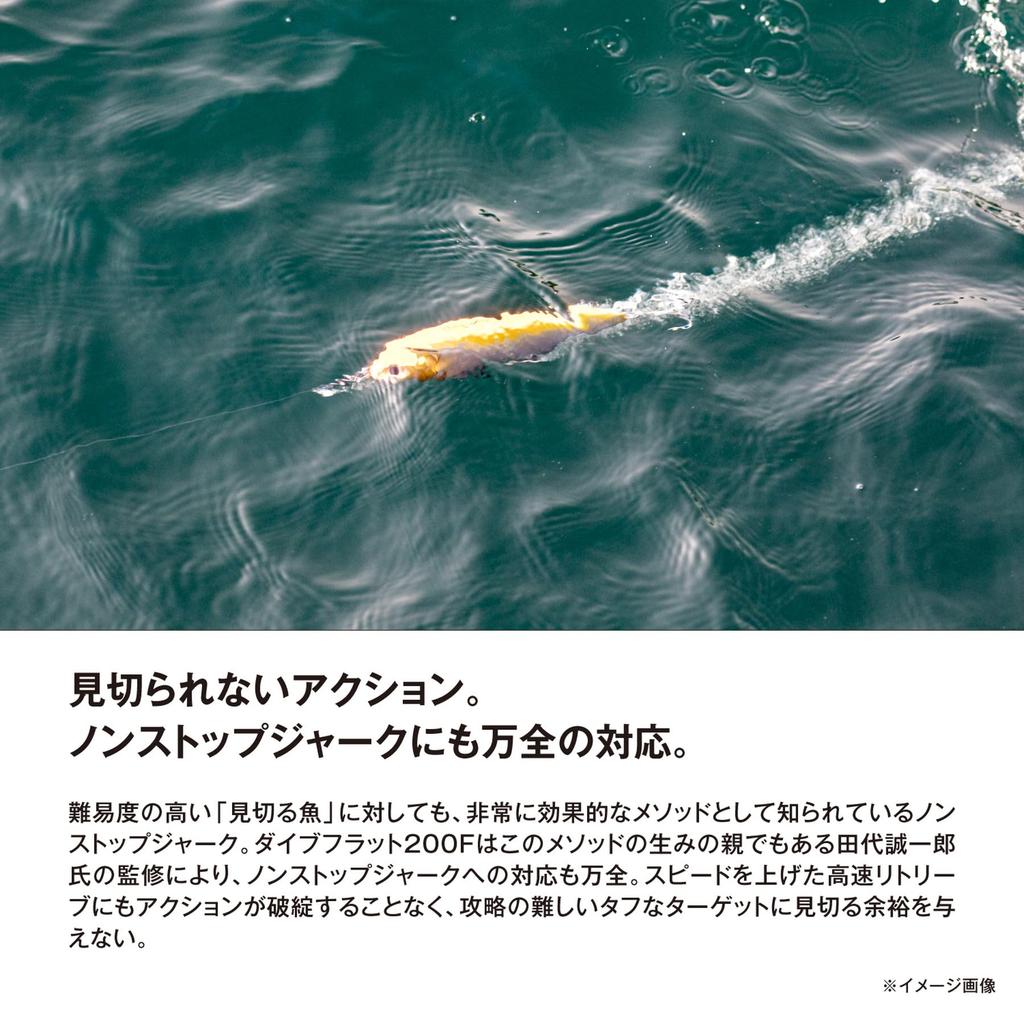 Shimano Offshore Lure Ocea Dive Flat 200F Flash Boost 008 ST Clear OT-Z20Y