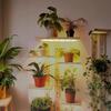 Full Spectrum LED Grow Light for Indoor Plants and Aquariums