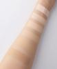 Pro-Lasting Gyeol-Fit Mesh Cushion Foundation