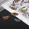 European & American Butterfly Brooch Set - Metal Badge Insect Accessories