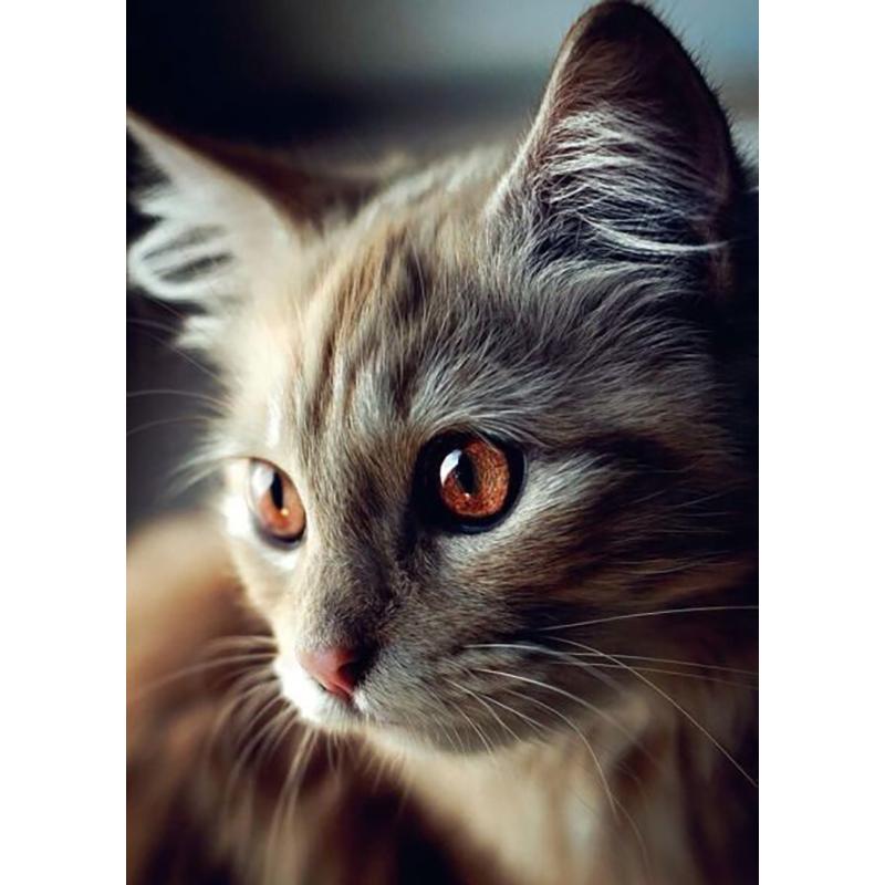DIY Cat 5D Diamantmålning Korsstygn Handarbete Full Rund Borr Harts Mosaik Diamantbroderi Heminredning Väggkonst Present
