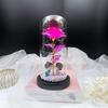 Send girlfriend birthday immortal rose glass cover luminous ornament source immortal flower gift box