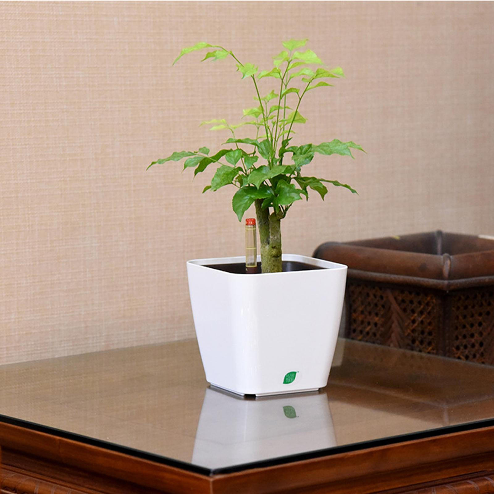 

Горшок с уровнем воды. Элегантный дизайн для домашнего декора. белый