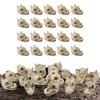 20pcs Resin Dragon Skull Decoration Mini Paving Stone Outdoor Landscape Decoration Dragon Skull Design Flowerpot Filler Stones