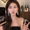Zinc Zinc Alloy Long Tassel Dangle Earrings Bling Bling Gold Earrings Exquisite Metal Sequin Earrings  Girl