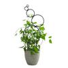 Plants Metal Trellis Multi-Circle Design Wire Trellis Planter Insert Support for Climbing Plants Potted Hoya Pothos Philodendrons Ivy