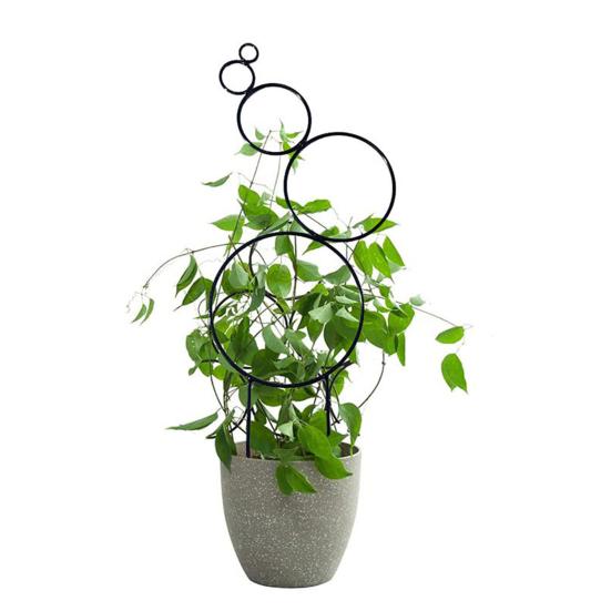 Plants Metal Trellis Multi-Circle Design Wire Trellis Planter Insert Support for Climbing Plants Potted Hoya Pothos Philodendrons Ivy