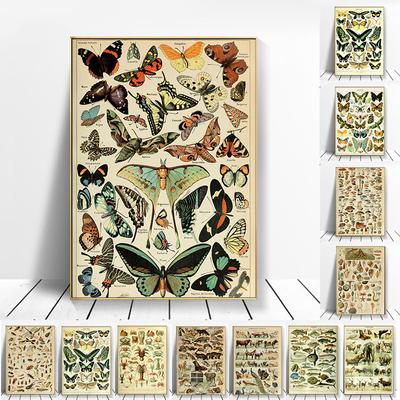 Vintage Vegetable Fruit Mushroom Canvas Painting Antique Wall Art Botanical Pictures Science Posters and Prints Home Decor