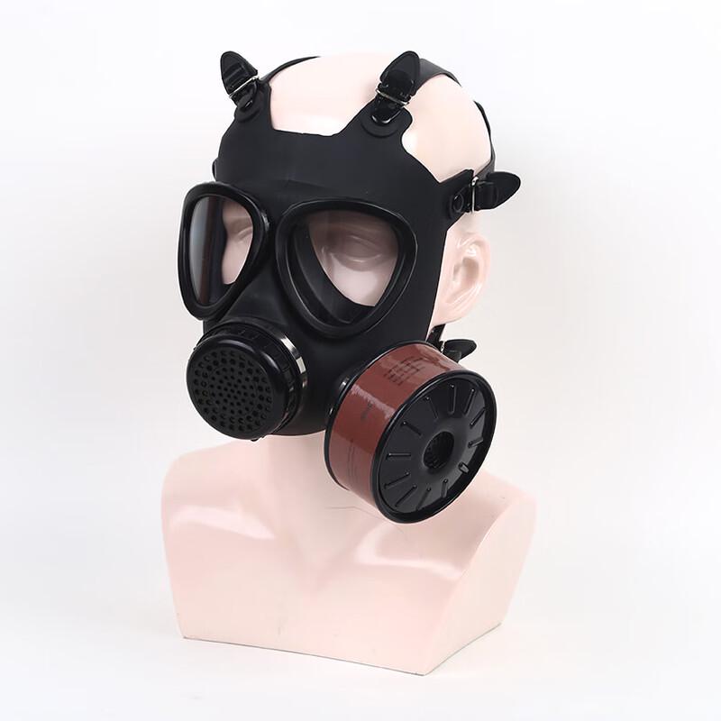 OIMG Full Face Gas Mask with Filter