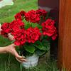 Artificial Crabapple Flower Home Living Room Geranium Silk Flower, Outer Garden Party Decoration Photography Props Christmas Dec