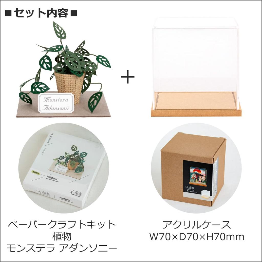 Gintopia Kit di Carta per Paesaggi Carta Artigianato per Piante in Carta Miniature Fatte a Mano con Custodia Acrilica per Adulti, (Monstera adansonii)