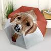 1pc Cute Dog Automatic Folding Umbrella - 8-Rib Automatic Open/Close, Portable Collapsible Compact Umbrella yy251218041
