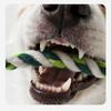 Dog Toys Shoes Pet Cotton Rope Slippers Sound Making Toys Teeth Cleaning Built-in BB Airbag Round Ball Bell Various