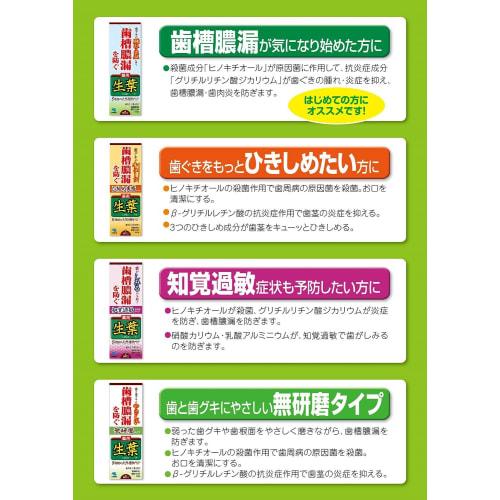 [Bulk Purchase] Hikishime Shoyo Medicated Toothpaste to Prevent Periodontal Disease, Herb Mint Flavor, 100g x 2 Packs