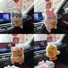 Animal Plush Keychain Set With Soft Pp Cotton For Kids And Bag Decor