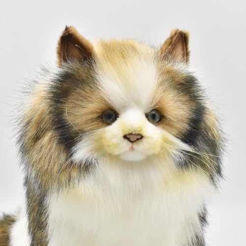 BH8154 HANSA Norwegian Forest Cat 35