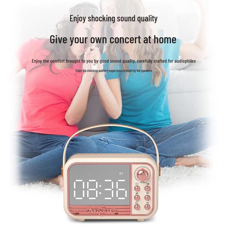 Wanwu S11K Retro HIFI Wireless Karaoke Speaker