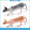 Canadian Hairless Sphynx Cat Model - Children's Cognitive Animal Ornament