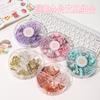 Macaron Color Long and Short Swallowtail Clip & Pushpin Stationery Set