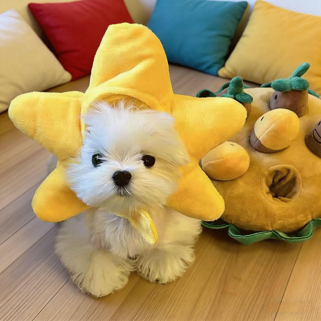 Cozy Winter Pet Hat: Cute Chick Design for Kittens & Small Dogs