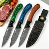 Damascus Steel Full Tang Kitchen Knife Hand-Forged Fruit Knife with Sheath Utility Knife Cutter