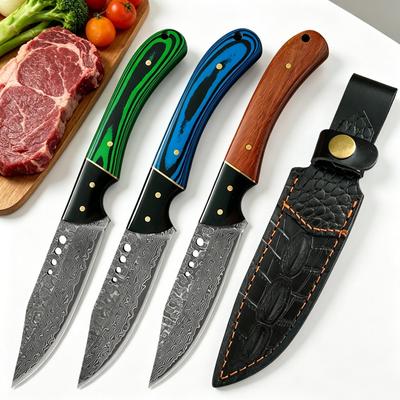 Damascus Steel Full Tang Kitchen Knife Hand-Forged Fruit Knife with Sheath Utility Knife Cutter