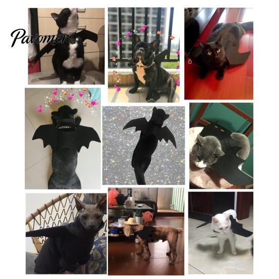 Pet Photo Prop Costume Cat Bat Wings, Halloween Costume, Puppy Cosplay Outfit, Party Cute Wings for Cats Dogs Dress Up Accessory Easy Put On