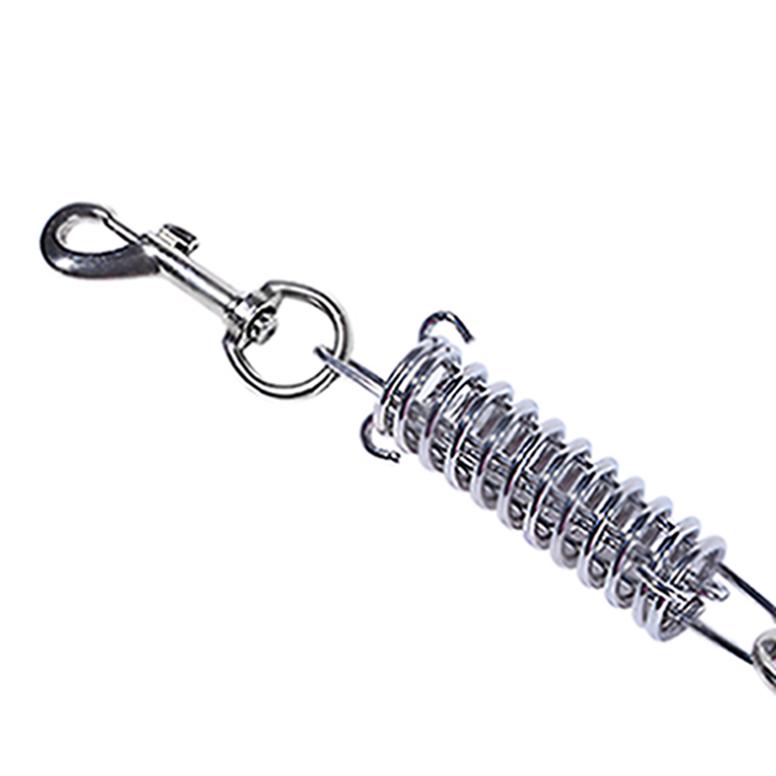 💰Köp billigt online Spring Type Pet Leash Dog Nylon Reflective Spring ...