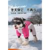 Ropa Nueva para Perros Otoño e Invierno Ropa de Algodón de Cuatro Patas para Cachorros Cinturón Reflectante Exterior Perro a Prueba de Frío para Tracción