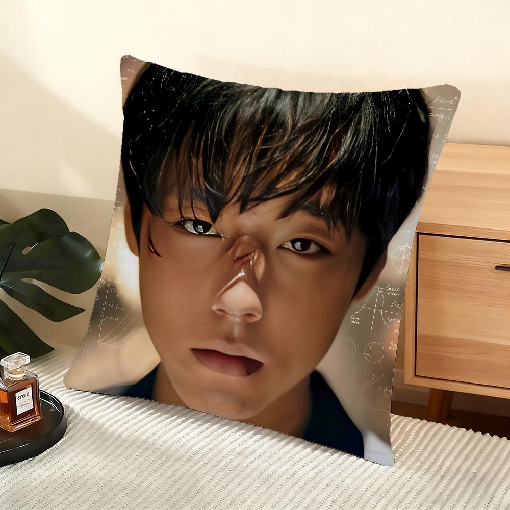 Cushion Cover Silky Short Plush Home Sofa Cushion Cover - Invisible Zipper Home Decoration WeakHero TV Series