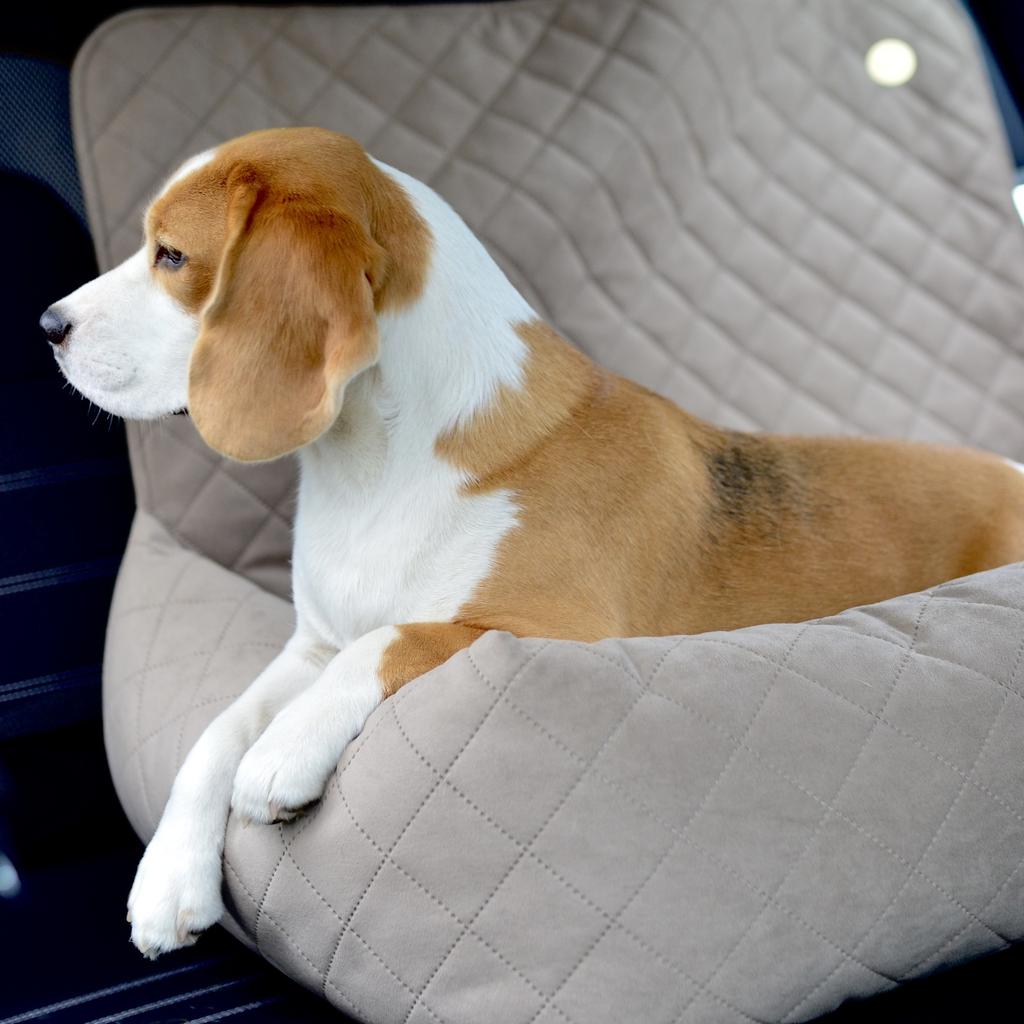 Large Dog Car Seat XL Beige